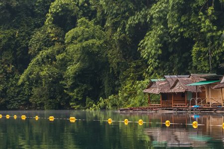 Phi Phi Island Tour By Speedboat